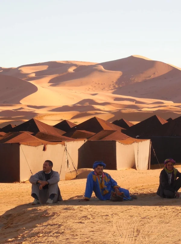 fargoflyer-rabat-2322558_1920